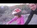 Gyrobike Self-Stabilizing Training Wheels