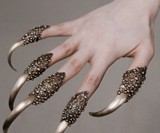 Predator Claw Rings