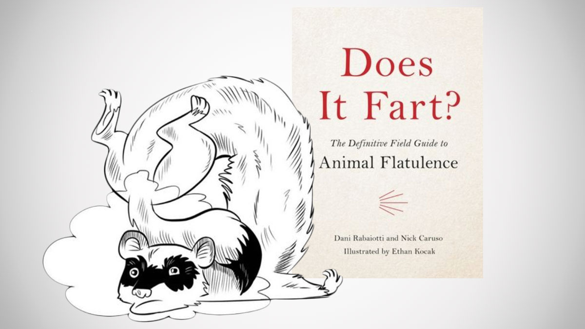 Does It Fart? Does It Fart?