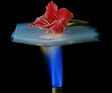 Aerogel - World's Lightest Solid