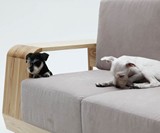 The Dog House Sofa