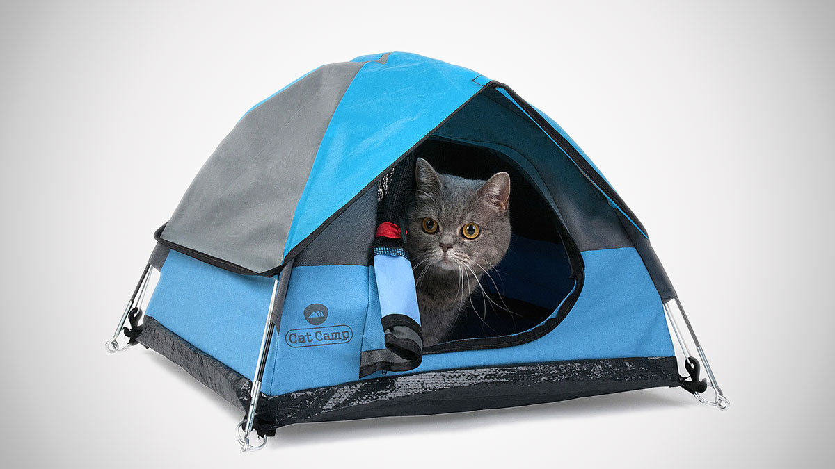 Cat Camp Cat Tents