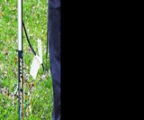 NatureZap Weed Killer