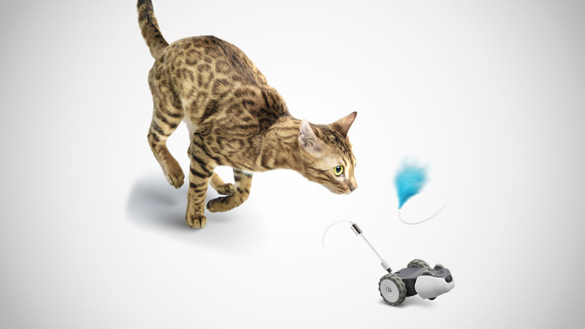 Mousr Interactive Robotic Cat Toy Mousr Interactive Robotic Cat Toy
