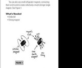 Sneaky Uses for Everyday Things