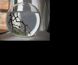 Self Sustaining Ecosphere-0