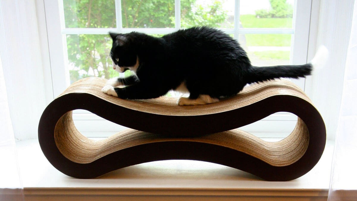 The Ultimate Cat Scratcher Lounge The Ultimate Cat Scratcher Lounge