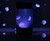 Pet Jellyfish Aquarium Pet Jellyfish Aquarium