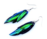 Beetle Wing Jewelry
