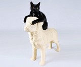 Dog Cat Scratching Post