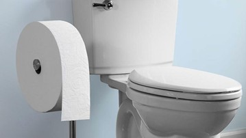 Charmin Forever Roll Charmin Forever Roll