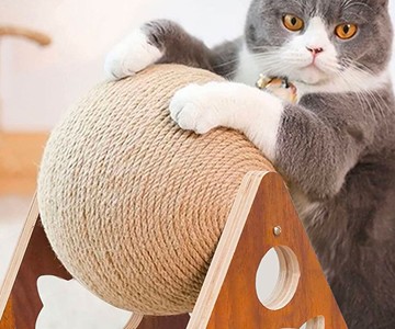 Spinning Cat Scratcher Ball