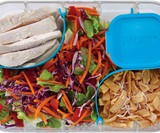 PackIt Flex Bento Food Storage Container