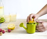 Watering Can Lemon Juicer