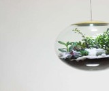Globe Terrarium Lamps