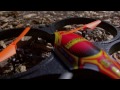 Horizon Spy Drone
