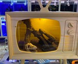 Wooden TV Aquarium