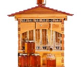 Flow Hives Langstroth Style Cedar Beehive