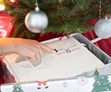 HoHoHoH2O Automatic Christmas Tree Watering System