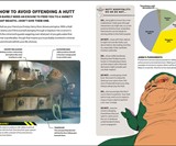 Star Wars How Not to Get Eaten by Ewoks