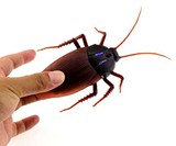 Remote Control Cockroach