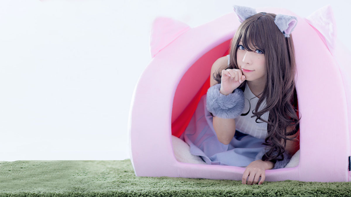 Cat House for Humans Cat House for Humans