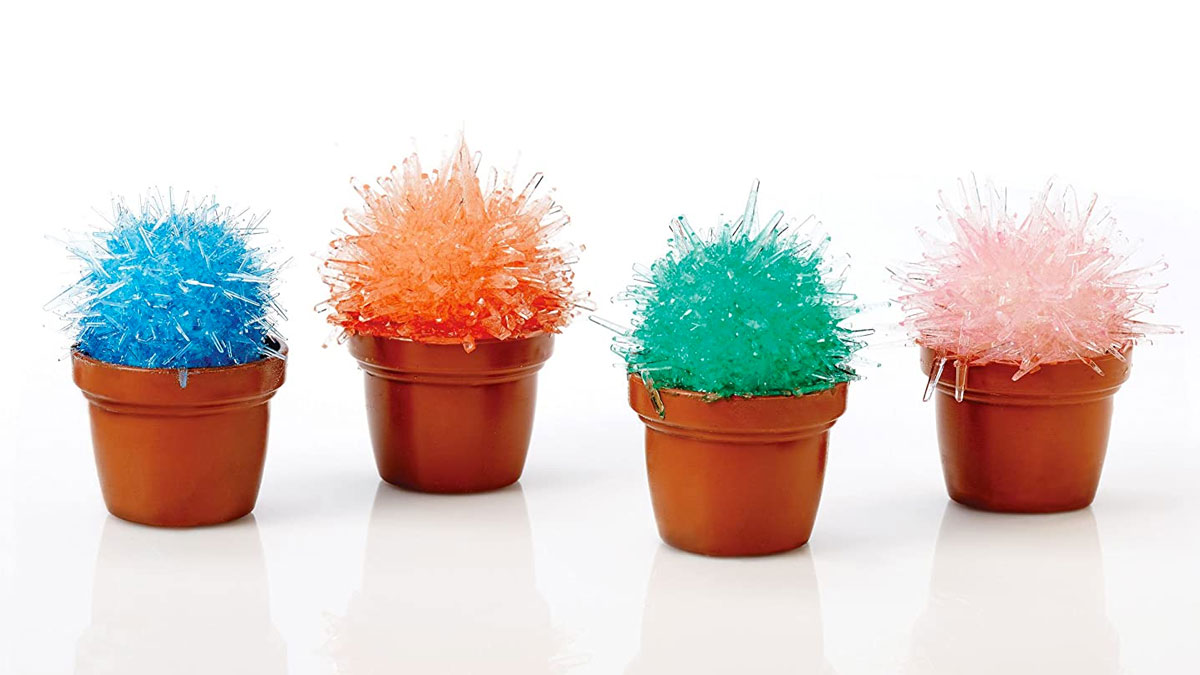 Magicactus Kit - Miniature Crystal Cactus Growing Set Magicactus Kit - Miniature Crystal Cactus Growing Set
