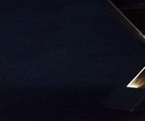 Wolverine Light