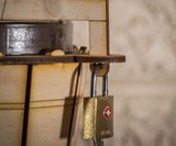 Ice Cream Pint Keeper with Padlock