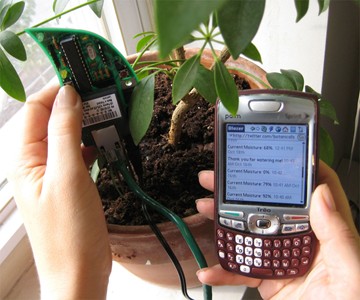 Houseplants that Twitter Houseplants that Twitter