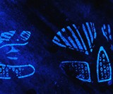 Luminol Spray