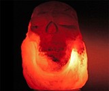 Himalayan Salt Skull Lamp