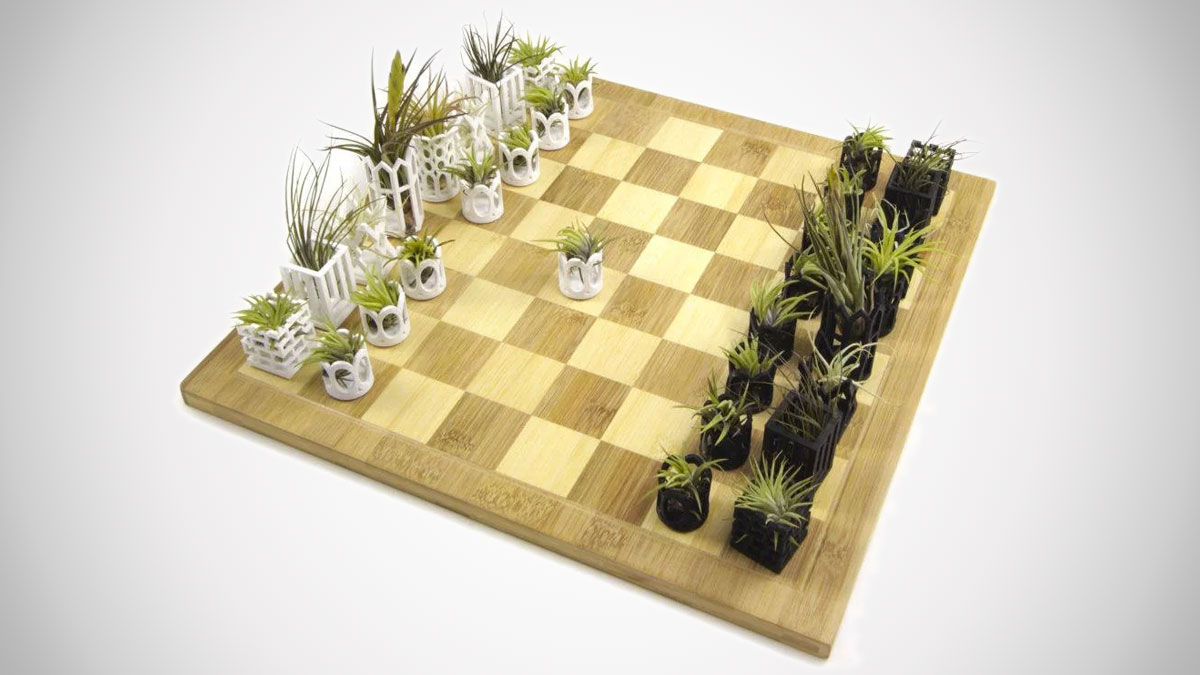 Air Plant Living Chess Set Air Plant Living Chess Set