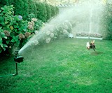 Pest-Deterring Motion-Activated Sprinkler