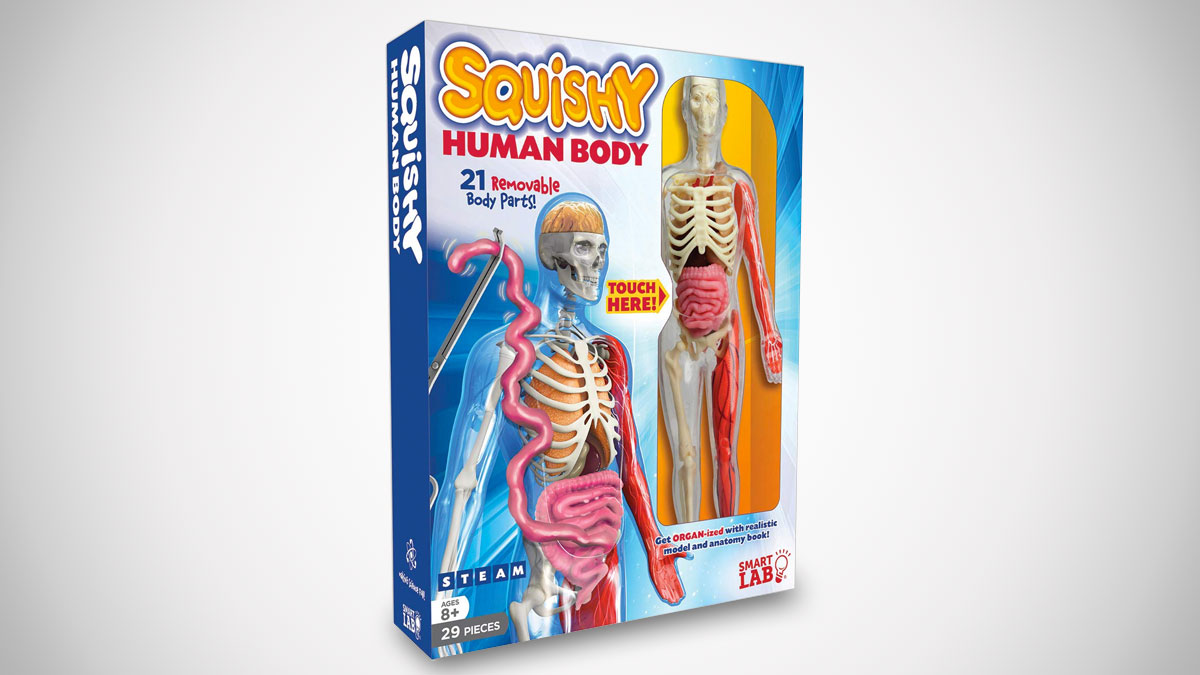 Squishy Human Body 3D Puzzle
