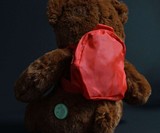 BooBuddy Interactive Ghost Hunting Bear