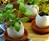 Eggling Crack & Grow Plants Eggling Crack & Grow Plants
