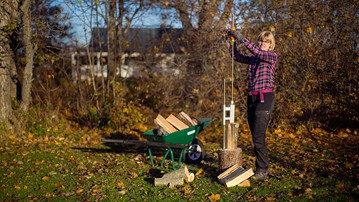 Logosol Smart Splitter for Logs & Kindling