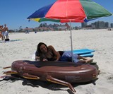 Giant Cockroach Float