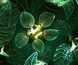 Lamp Plants