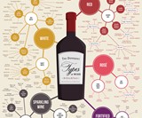 Wine Education Prints