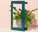 Modern Sprout Growframes - Wall-Mounted Grow Lights