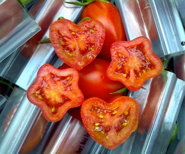 Star-Shaped Fruit & Veggie Grow Molds Star-Shaped Fruit & Veggie Grow Molds