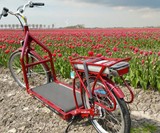 Lopifit Treadmill E-Bike