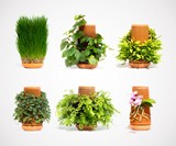 terraplanter Inside-Out Hydroponic Planter