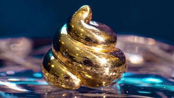 Lucky Golden Poo