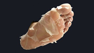 Baby Foot Human Molting Peel Baby Foot Human Molting Peel