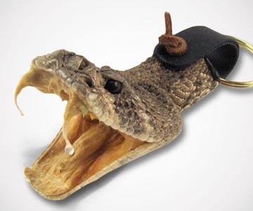 Eastern Diamondback Rattlesnake Head Keychain Eastern Diamondback Rattlesnake Head Keychain