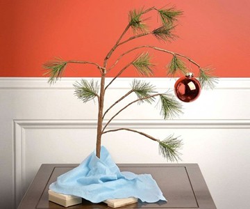 Charlie Brown Christmas Tree Charlie Brown Christmas Tree