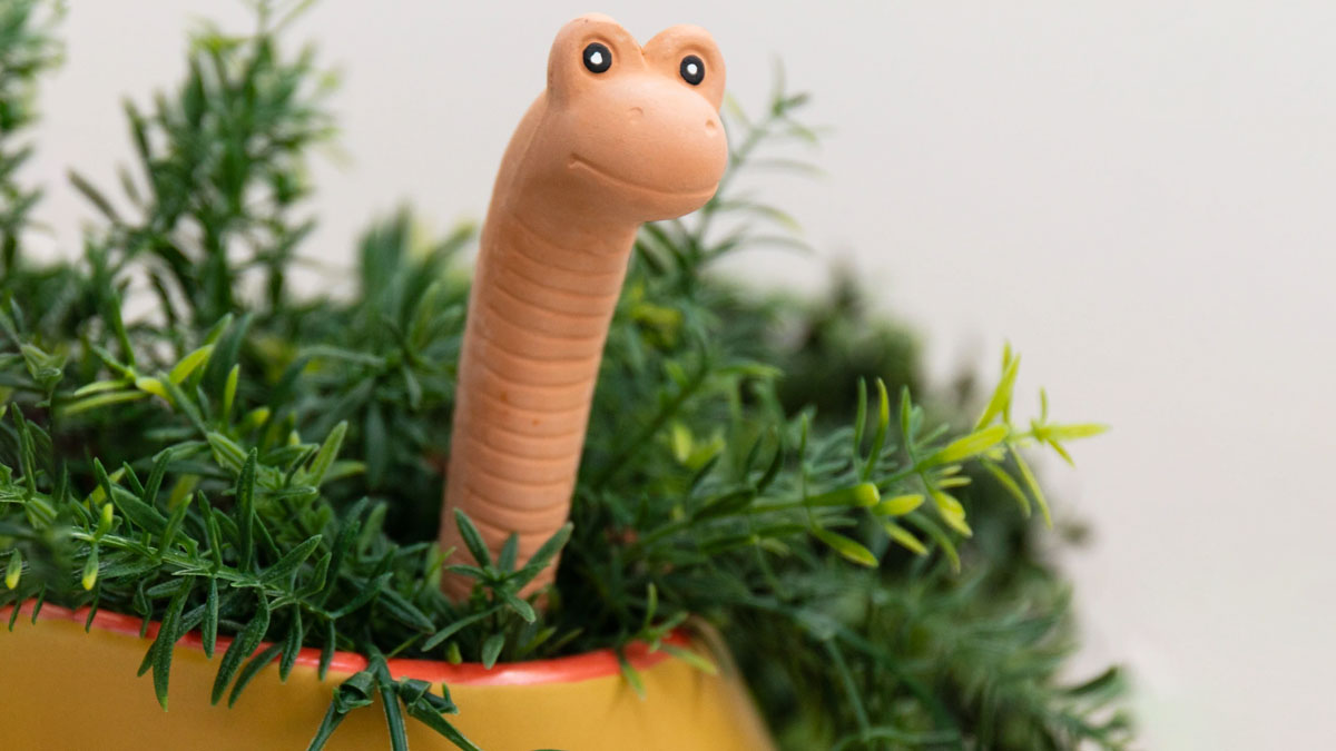 Willy the Worm Water Sensor for Houseplants Willy the Worm Water Sensor for Houseplants